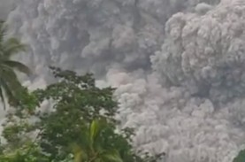 Letusan Gunung Semeru Jadi Sorotan Media Global, DPD…