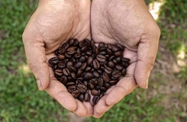 Perusahaan Mesir Borong Kopi dari Jawa Timur