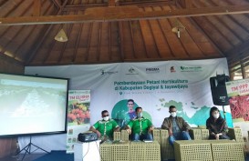 Tani Murni Indonesia dan Prisma Kerja Sama Suplai Benih Sayuran Berkualitas