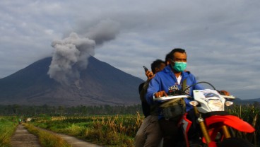 200 Ha Lahan Pertanian di Lumajang Gagal Panen 