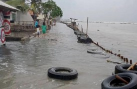 400 Rumah dan 740 Hektare Tambak Ikan Siap Panen di Karawang Terendam Banjir Rob