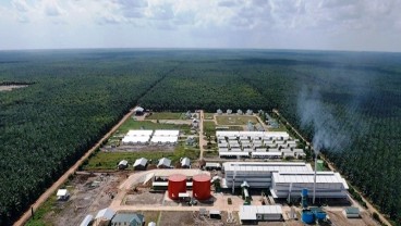 Triputra Agro (TAPG) Operasikan Pabrik CPO Baru Kapasitas 45 Ton per Jam