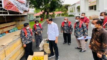 Hari Antikorupsi Sedunia, Mengapa Jokowi Tak Laporkan Hadiah Jeruk 3 Ton ke KPK?