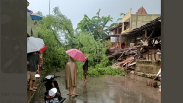 Jakarta Diguyur Hujan Lebat, Foto-Foto Pohon Tumbang di Kalimalang dan Permata Hijau