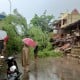 Jakarta Diguyur Hujan Lebat, Foto-Foto Pohon Tumbang di Kalimalang dan Permata Hijau