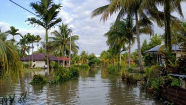 Banjir Rob Genangi Wilayah Pesisir Mimika