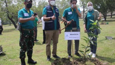 PJT II Kembali Galakkan Penghijauan di Kawasan Greenbelt Waduk Jatiluhur