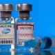 CDC AS Rekomendasikan Vaksin Pfizer dan Moderna untuk Orang Dewasa