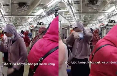 Viral Momen Penumpang KRL Jakarta-Bogor Panik karena Serangan Ribuan Laron 