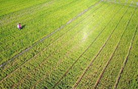 Purwakarta Kunci Lahan Pertanian Abadi Seluas 17.970 Hektare