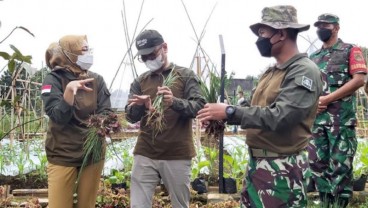 Purwakarta Ciptakan Kebon Ambu untuk Pusat Penelitian Tanaman Pangan