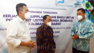 Sinergi Pembangunan Tanaman Industri Kayu Energi Atau Biomassa
