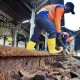 INFRASTRUKTUR KERETA API : Reaktivasi Jalur Stasiun Tawang—Tanjung Emas Berlanjut