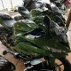 Dibuat untuk Kawal Sultan, Motor Kawasaki Ninja ZX-25R Milik Satpol PP DIY Jadi Sorotan