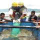 Nilai Bisnis Budi Daya Ikan Melalui KJA di Danau Toba Capai Rp4 Triliun tiap Tahun