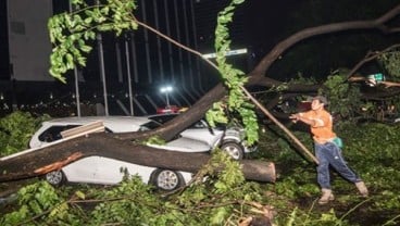 Detik-detik Mobil Penumpang Tertimpa Pohon Saat Hujan Lebat