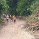 Jalan Utama Penghubung Wilayah Selatan Cianjur Sudah Bisa Dilalui