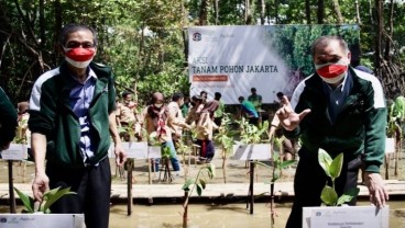 Apical Group Bersama Pemda Selamatkan Mangrove di DKI Jakarta
