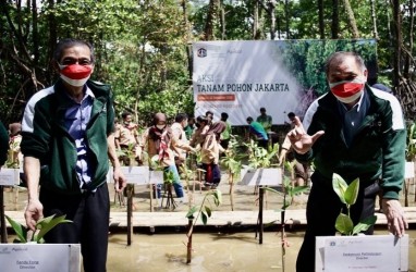 Apical Group Bersama Pemda Selamatkan Mangrove di DKI Jakarta