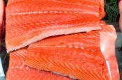 Rutin Makan Salmon Bisa Cegah Penyakit Ini Lho