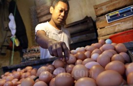 Harga Telur Ayam Meroket Jelang Tahun Baru, Tembus Rp35.000 Per Kilogram