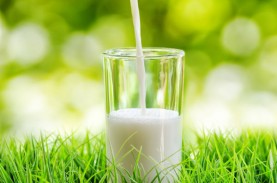 Manfaat dan Kandungan Susu Kambing Formula Untuk Anak