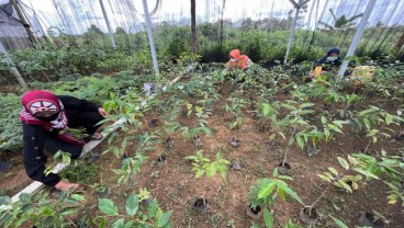 Warga Desa Berdaya Hijaukan Kawasan Lindung Muara Merang