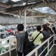 Produksi Mobil Jepang Melonjak Pada Bulan November