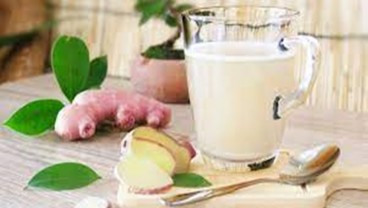 Tingkatkan Imunitas Tubuh dengan Herbal Jahe dan Susu