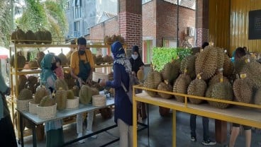 Siasat Rumah Durian Lombok Cetak Omzet Rp800 Juta per Bulan