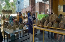 Siasat Rumah Durian Lombok Cetak Omzet Rp800 Juta per Bulan