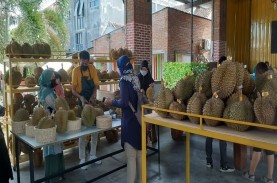 Siasat Rumah Durian Lombok Cetak Omzet Rp800 Juta…