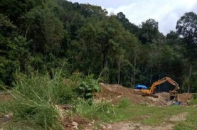 Dinas Kehutanan Klaim Banjir Mandailing Natal Bukan…