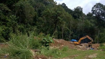 Potongan Kayu Hanyut saat Banjir Mandailing Natal Berasal dari Praktik Tambang Emas Liar