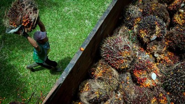 Opini: Harapan Industri Sawit Pada 2022