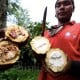 Kesejahteraan Petani Naik Berkat Cabe Rawit hingga Kelapa Sawit