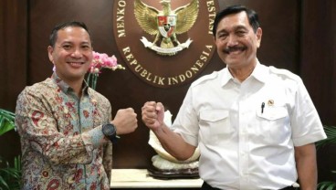 Eks Bos Bukalapak Rachmat Kaimuddin Jadi Anak Buah Luhut, Ini Tugasnya