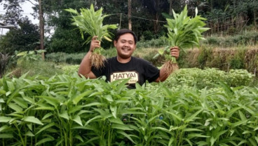 Remaja Purwakarta Buktikan Jika Bertani Sangat Menguntungkan 