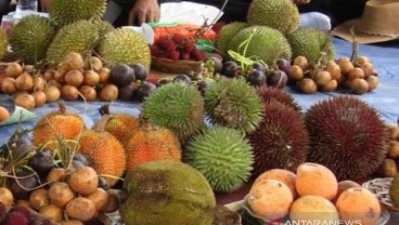 Buah Khas Kalsel Mulai Warnai Pasar