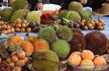 Buah Khas Kalsel Mulai Warnai Pasar