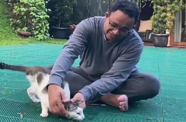 Anies Perkenalkan Lego, Kucing Berkaki Tiga Kesayangan Keluarganya