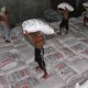 Harga Pupuk Urea Naik 235,85 Persen Selama 2021, Tahun Ini?