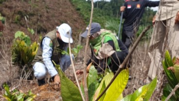 PTPN V Lakukan Reboisasi Hutan Lindung Bukit Suligi Rokan Hulu 