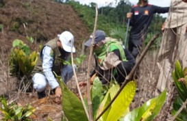 PTPN V Lakukan Reboisasi Hutan Lindung Bukit Suligi Rokan Hulu 
