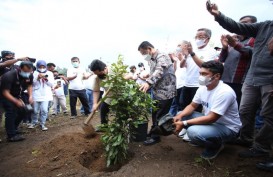 Lestarikan Danau Toba, Menteri Erick Thohir dan BUMN Targetkan Tanam 460 Ribu Pohon   