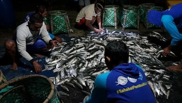 Budi Daya Bandeng Jepara Diproyeksi Berprospek Cerah