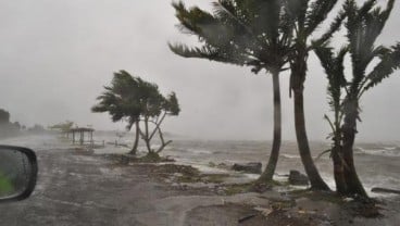 Tsunami Tonga, Kepanikan Menjalar ke Negara Kawasan Pasifik