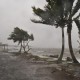 Tsunami Tonga, Kepanikan Menjalar ke Negara Kawasan Pasifik