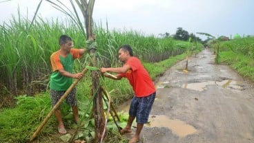 Ada 3,93 Juta Orang Penduduk Miskin di Jateng