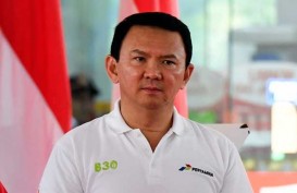 Ibu Kota Negara Nusantara, Ahok Kandidat Kepala Otorita?